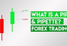Pip | Pips and Pipettes Pips and Pipettes