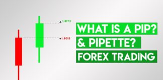 Pip | Pips and Pipettes Pips and Pipettes