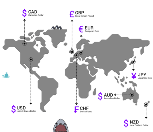 What Is Traded In Forex? Forex Trading