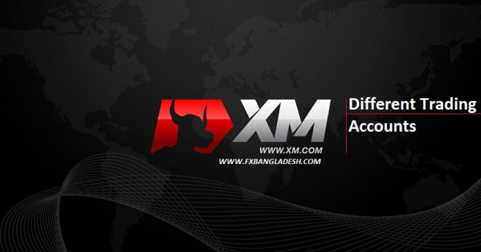 XM Trading Account
